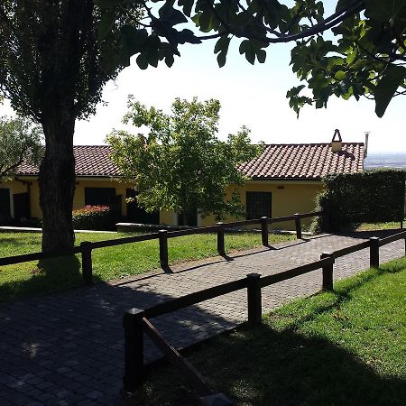 Vila Agriturismo La Vite E Gli Ulivi Ariccia Exteriér fotografie