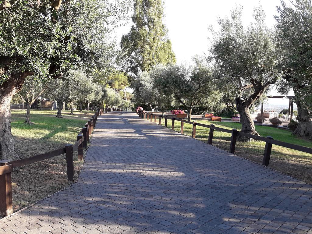 Vila Agriturismo La Vite E Gli Ulivi Ariccia Exteriér fotografie
