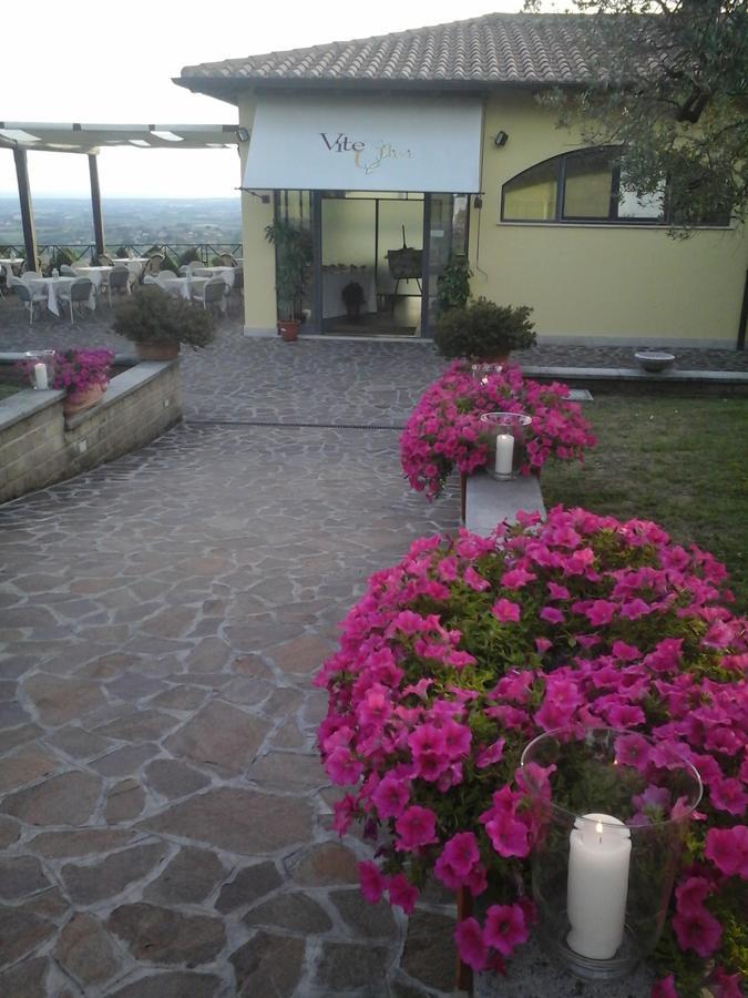 Vila Agriturismo La Vite E Gli Ulivi Ariccia Exteriér fotografie