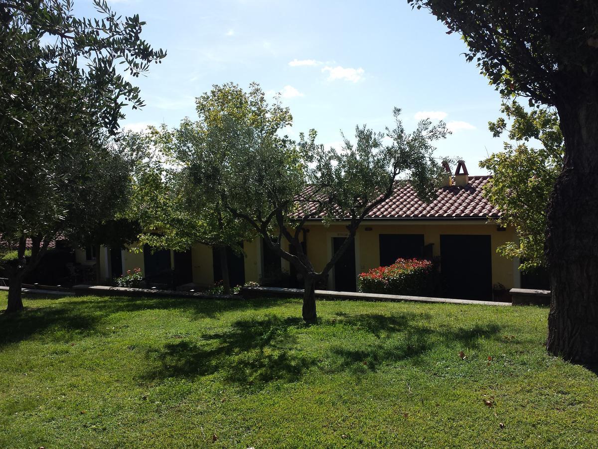 Vila Agriturismo La Vite E Gli Ulivi Ariccia Exteriér fotografie