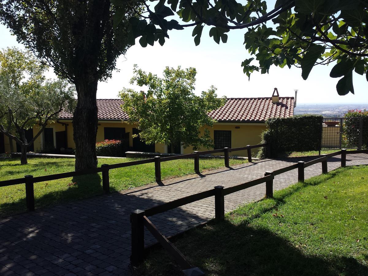 Vila Agriturismo La Vite E Gli Ulivi Ariccia Exteriér fotografie